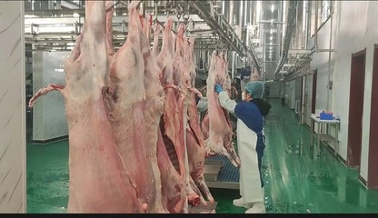 榆林市榆阳区 优化畜牧养殖产业链 奏响乡村振兴“牧歌”