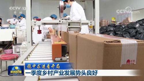 一季度乡村产业稳中向好，家禽加工产业链活力显现