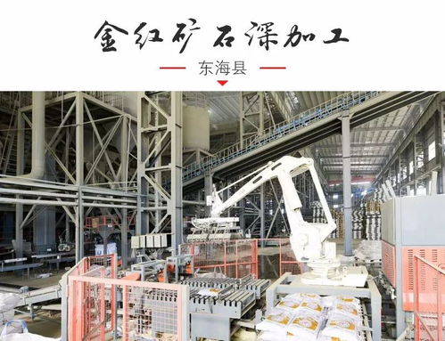 家禽加工项目加快建设 为连云港高质量发展注入强劲原动力