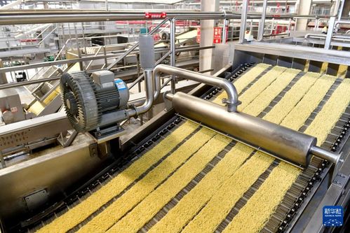 山东兖州 精准发力，培育壮大食品加工产业，打造家禽加工新高地