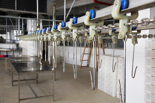 家禽屠宰加工场 现代化家禽加工全流程解析