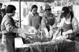 筑牢家禽安全防线，让百姓吃上“放心肉”