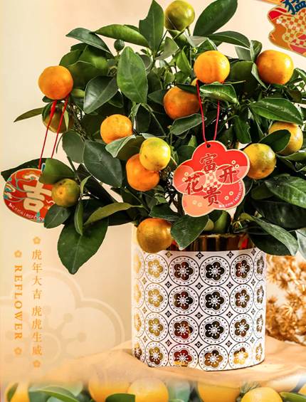 花点时间革新鲜花供应链 科技赋能高品质产品家禽加工